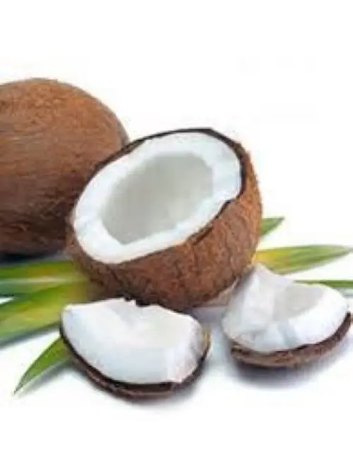 Лучший индийский кокос/полуочищенный кокос/свежий кокос!