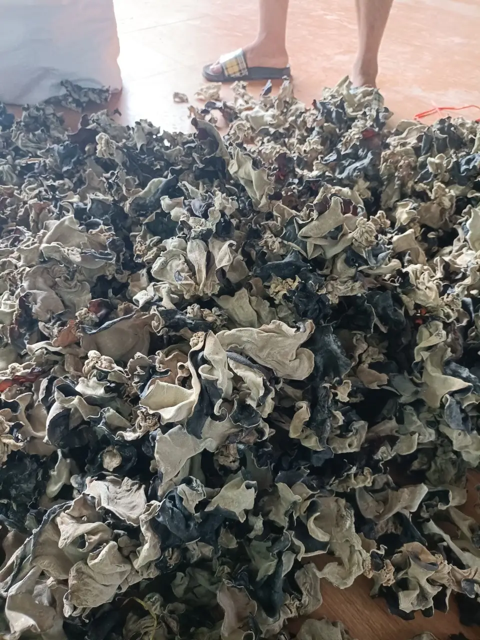 Wholesale Fungus Fungus Vietnam Manufacturer Direct Sale Cultivated Whole Part Natural Dried Black Type  Ms. Lily +84 906 927 73