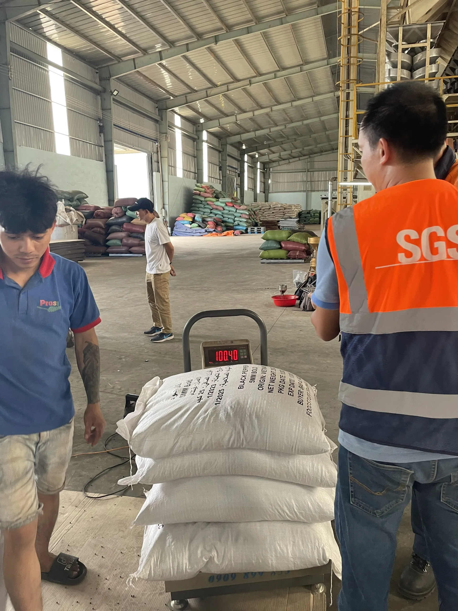 Wholesale Best Price Black Pepper With High Quality From Vietnam 100% Pure For Cooking Herbs And Ingredients