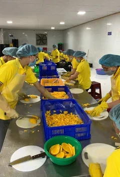 HIGH QUALITY ORGANIC FROZEN MANGO 100% INGREDIENTS MODEL VTPEX-MANGO01 GOOD PRICE READY FOR DELIVERY FROM VIETNAM