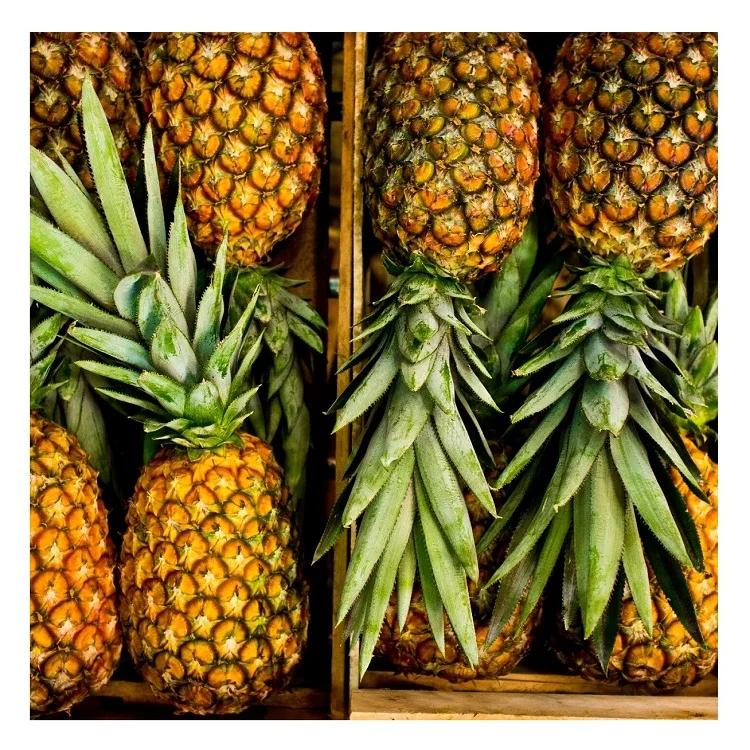 Export Quality Natural Fresh Sourness Beautiful Golden Color Super Sweet Fresh Pineapple