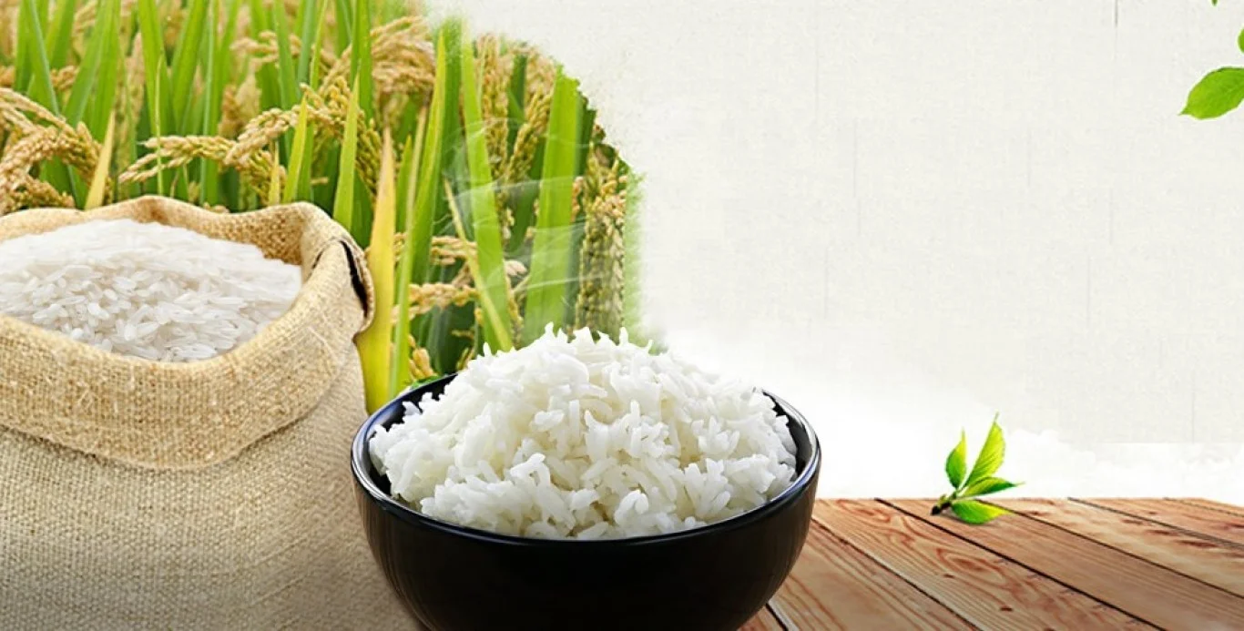 Newest Crop KDM RICE Vietnamese Long Grain Fragrant White Rice for Wholesales from Top Supplier in Vietnam