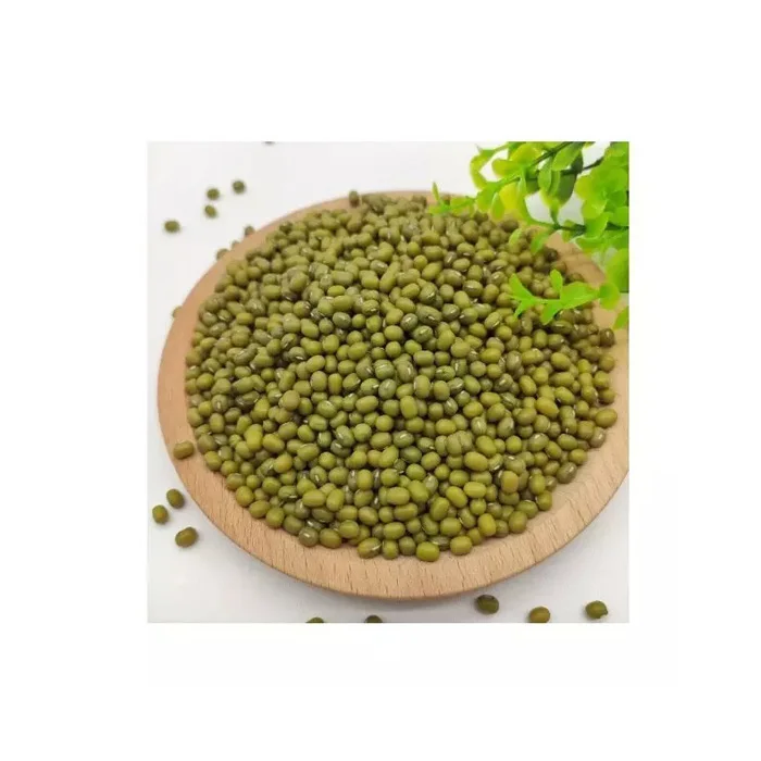 Wholesale Best Quality Organic Green Mung Beans Available in Bulk for Sale at Cheap Price-Dried and Fresh Styles