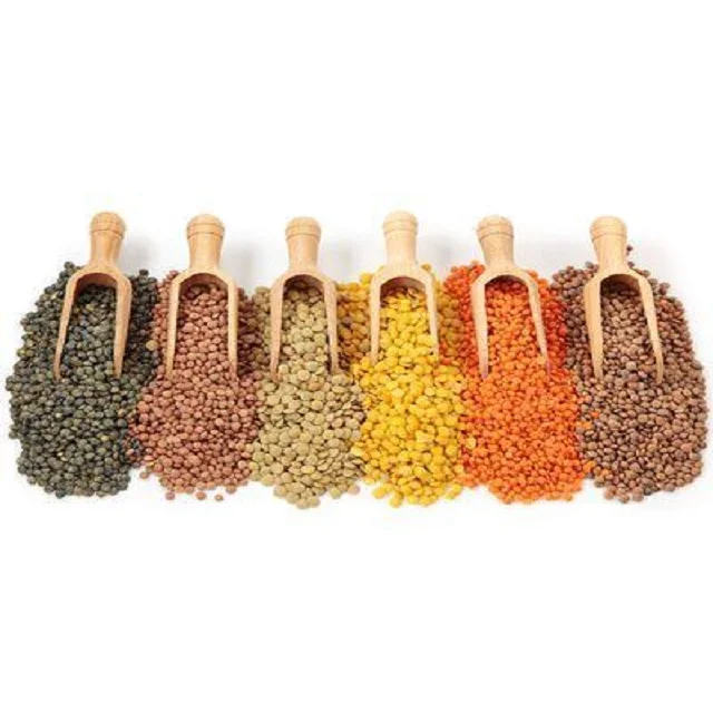 Quality Bulk Dried Lentils Red Lentils  for sale