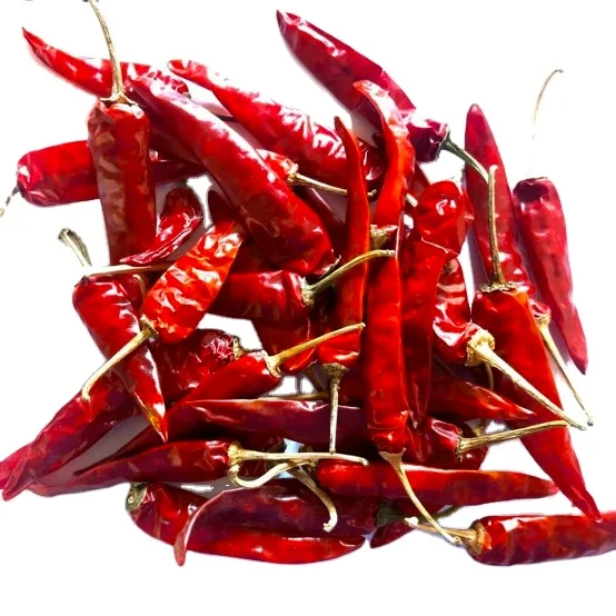 Multi usage for cooking 2 years package quality shelf life raw processing type chili Dried Red Chili from Vietnam