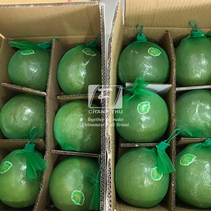 Top Fresh Honey pomelo Wholesale Slightly Sour And Less Seed Pomelo Fruit Fresh Pomelo Red/White Meat For Export