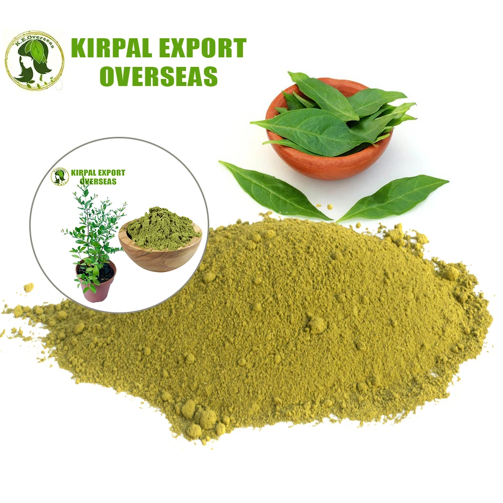 Best Selling Natural Organic Henna Leaves Powder Traditional Mehndi Powder At Cheap Price