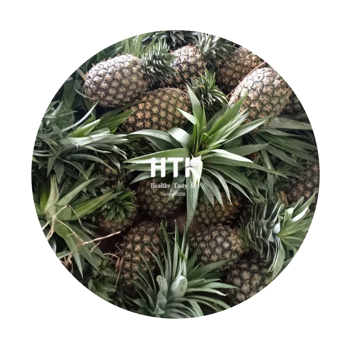 Лидер продаж 2022 ЗАМОРОЖЕННЫЙ КУБИК ананаса IQF сделано в Вьетнаме 100% натуральный От HTK FOODS для пищевых продуктов и
