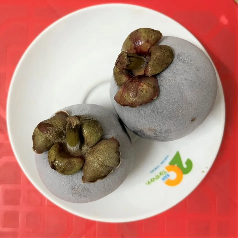 CHEAP PRICE BIG SALES- FROZEN MANGOSTEEN HIGH QUALITY MADE IN VIETNAM