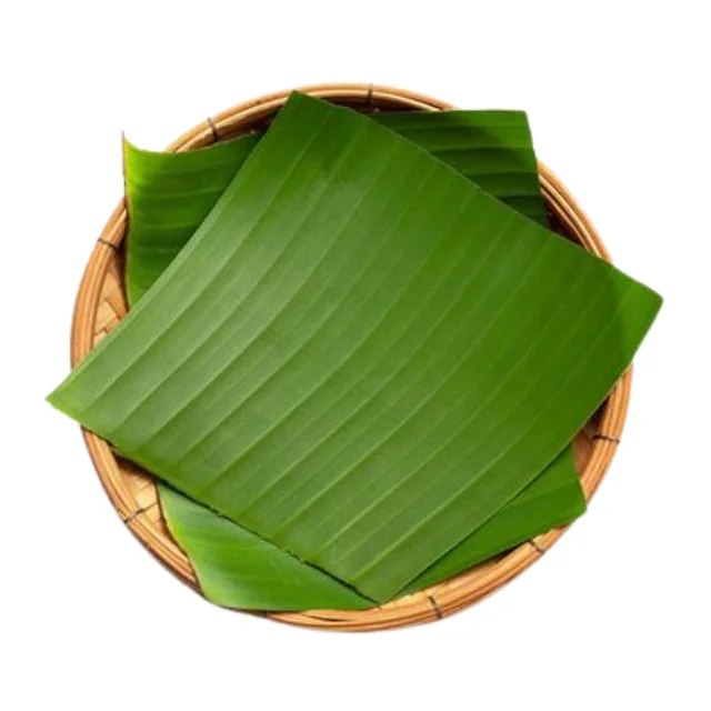 Top-tier Frozen Banana Leaves for food packing High-quality Agriculture products from VietNam Eco-friendly packaging solution