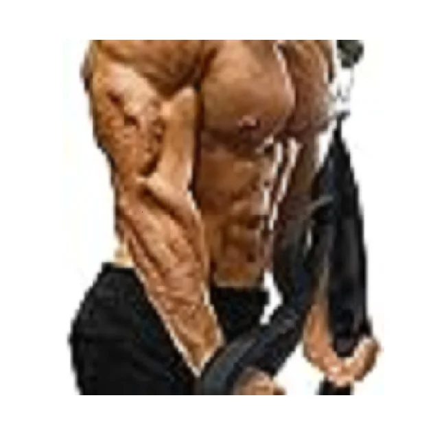 Amazon Hot Sale Triceps Rope Cable Attachment Triceps Extension Straps  for Resistance Bands Gym Equipment