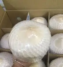 Cool Coconuts Water Coconut Green Coconut Packing Box Fresh Coconut From Vietnam