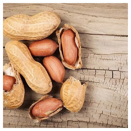 High Quality Raw Peanuts Without Shell Raw Peanuts Peanuts Peanut Harvester Agriculture