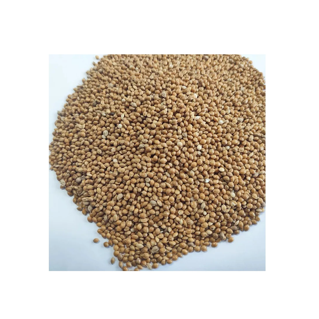 Quality Low Cost Origin Direct Sales Wholesale Protein Natural Food Grade Organic