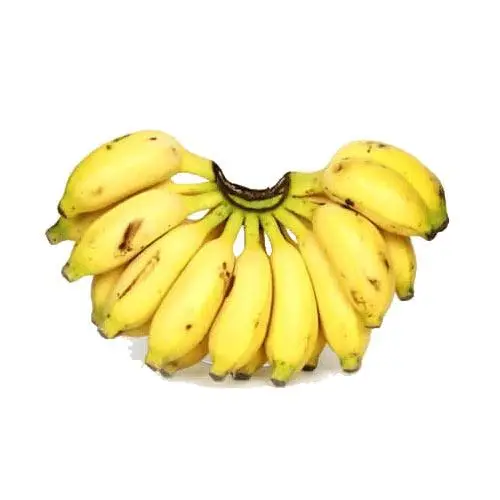 CANVEDISH BANANA THAILAND- Fresh Banana with best price for sale.