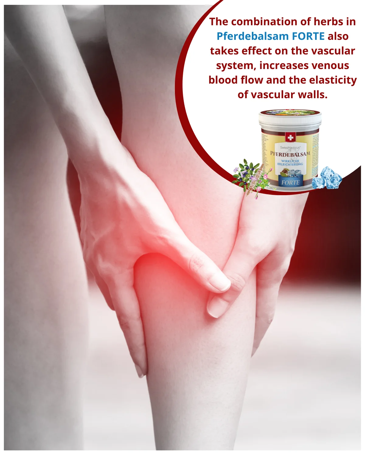 Amazon Best Seller SwissMedicus Pferdebalsam FORTE extra strong cooling, relief for heavy legs, Swiss quality, Menthol 500 ml