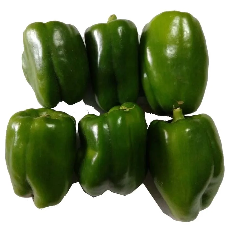 Fresh Capsicum growers Cheap Bell Pepper Green Yellow Red Sweet Pepper