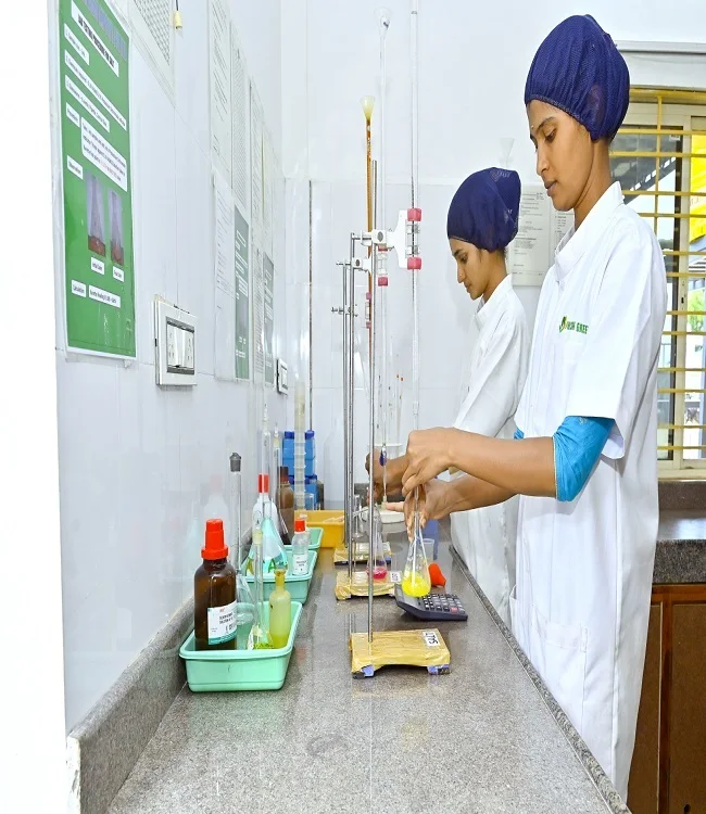 Quality  Cucumber/Gherkins Grade 6-9 CM /Cornichons/ Preserved in Acetic Acid in Barrels Best Indian Gherkins