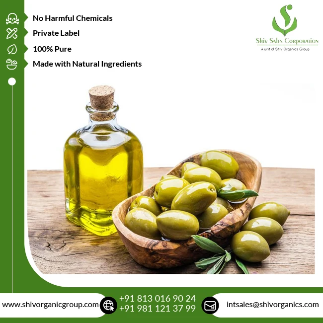 Indian Manufacturer of Best Quality Bulk Sale Natural Cold Pressed 100% Pure Olive Oil at Reasonable Market Price