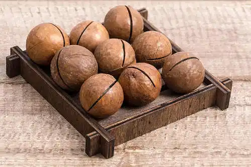 Natural Premium Quality Dried Roasted Macadamia nuts