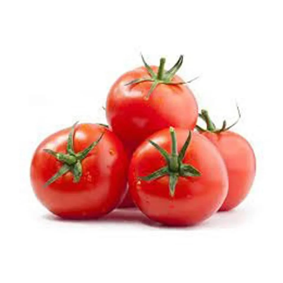 FOR SALES FRESH RED TOMATOES BEST PRICE