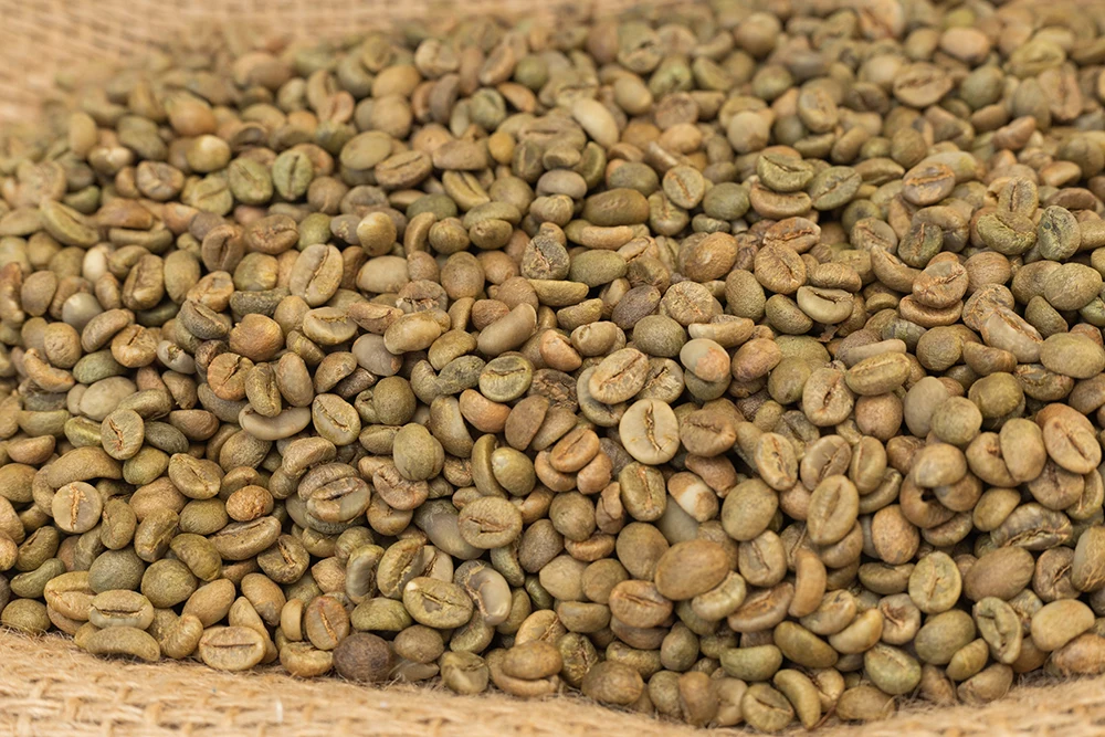 Premium Quality Roasted Arabica Coffee Beans Super Quality for sale Green Coffee Bean