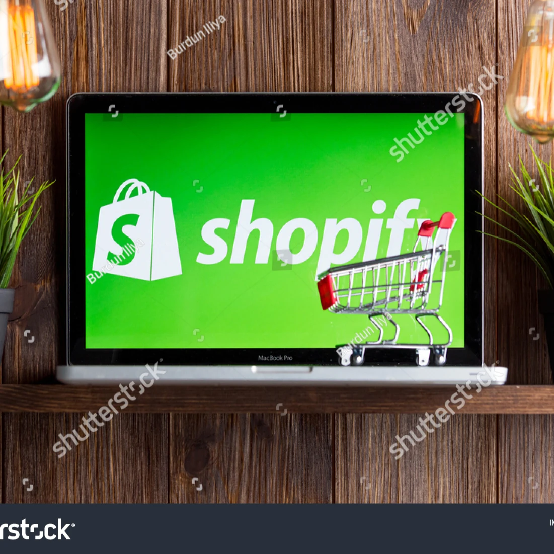 Shopify web site design Fully Customization website design and development Ecommerce Website designing from India b