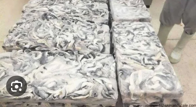 HOT SALE FROZEN BASA FISH SKIN MAKING DELICIOUS SNACKS WITH CHEAP PRICE AND HIGH NUTRITION