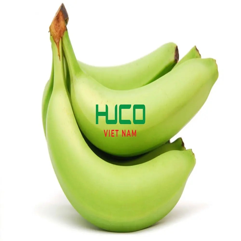Tropical Banana Organic Vietnam Best Brand Supplier Wholesaler Fresh Natural