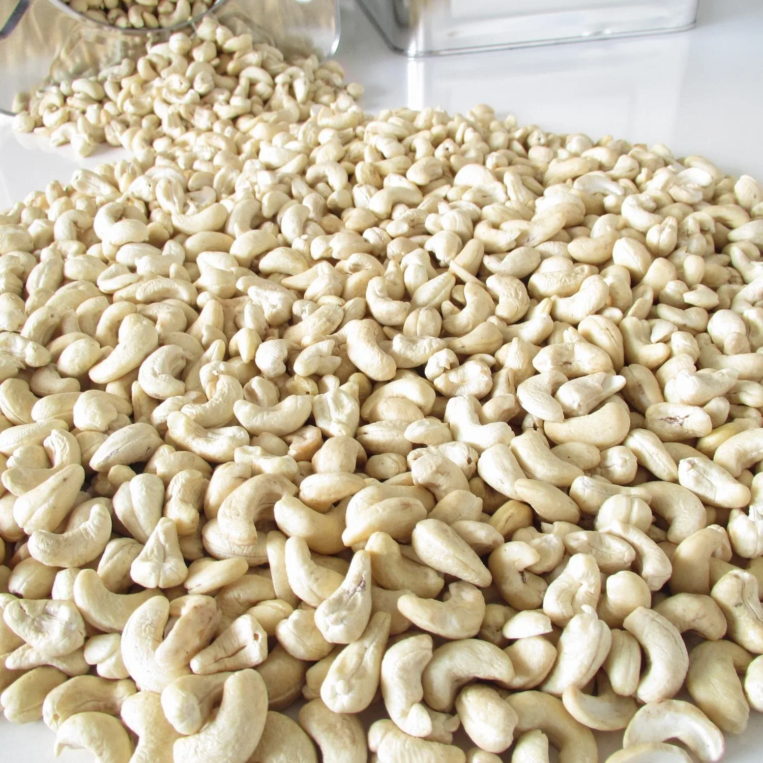 CASHEW NUTS FROM VIETNAM  CASHEW NUT WW320 WW240