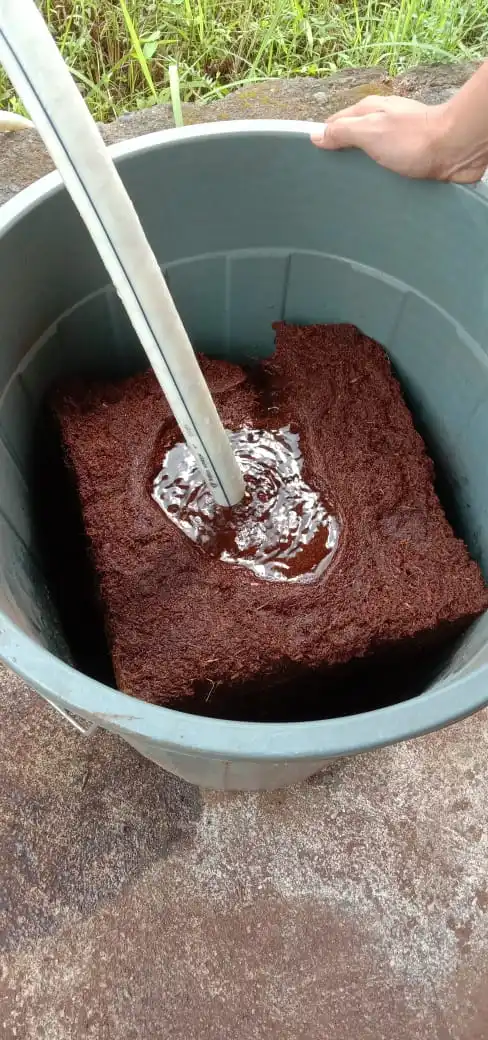 BEST QUALITY COCOPEAT BLOCK 5KG PRODUCT LOW EC BEST BRICKS FOR HEALTH PLANTS AND FLOWERS