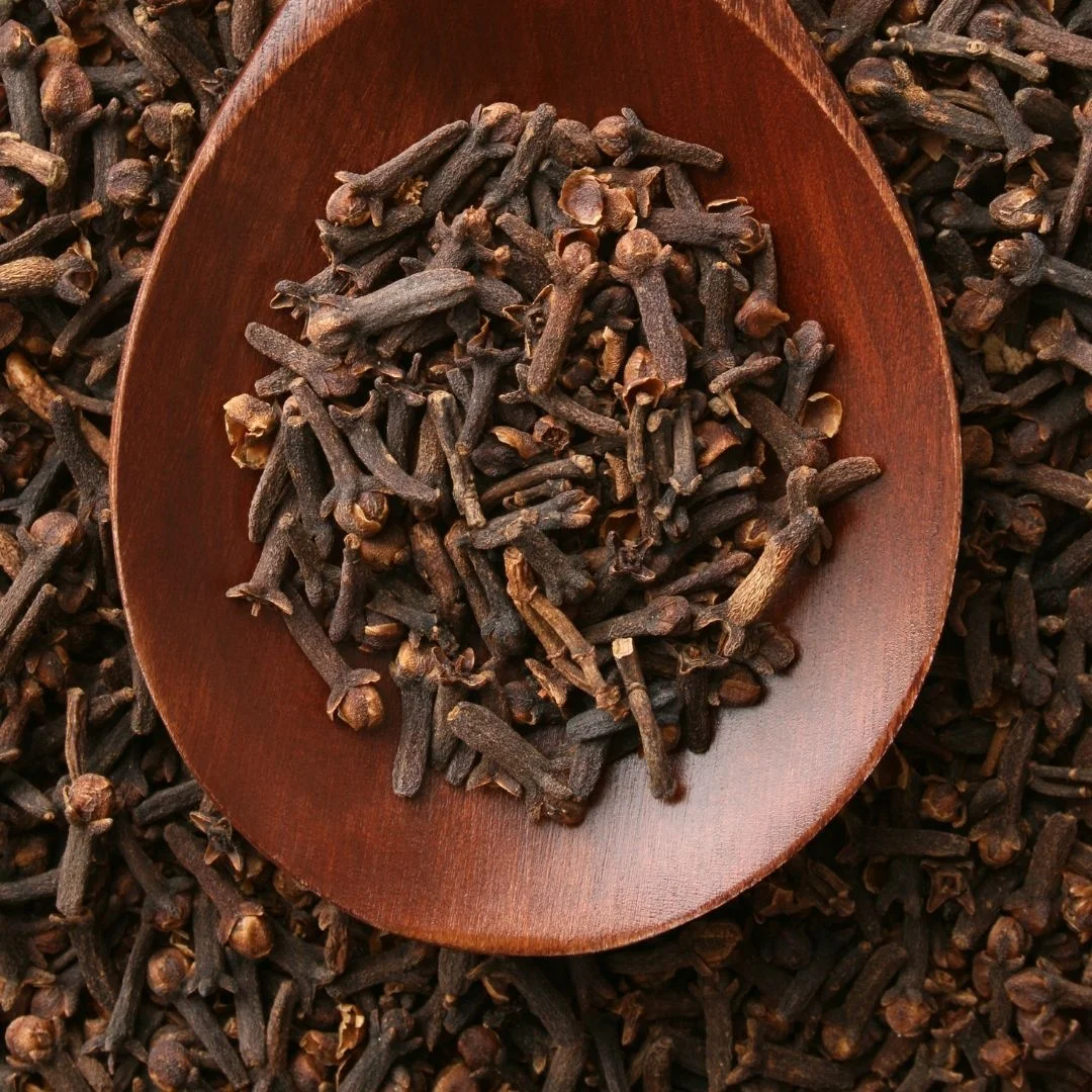 Indian Organic Clove Spices Dried Style Clove Supplier Wholesale 100% Natural Premium Grade Indian  Spices