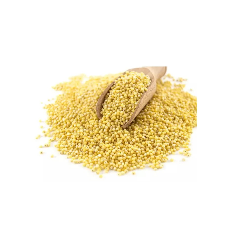 Quality Low Cost Origin Direct Sales Wholesale Protein Natural Food Grade Organic