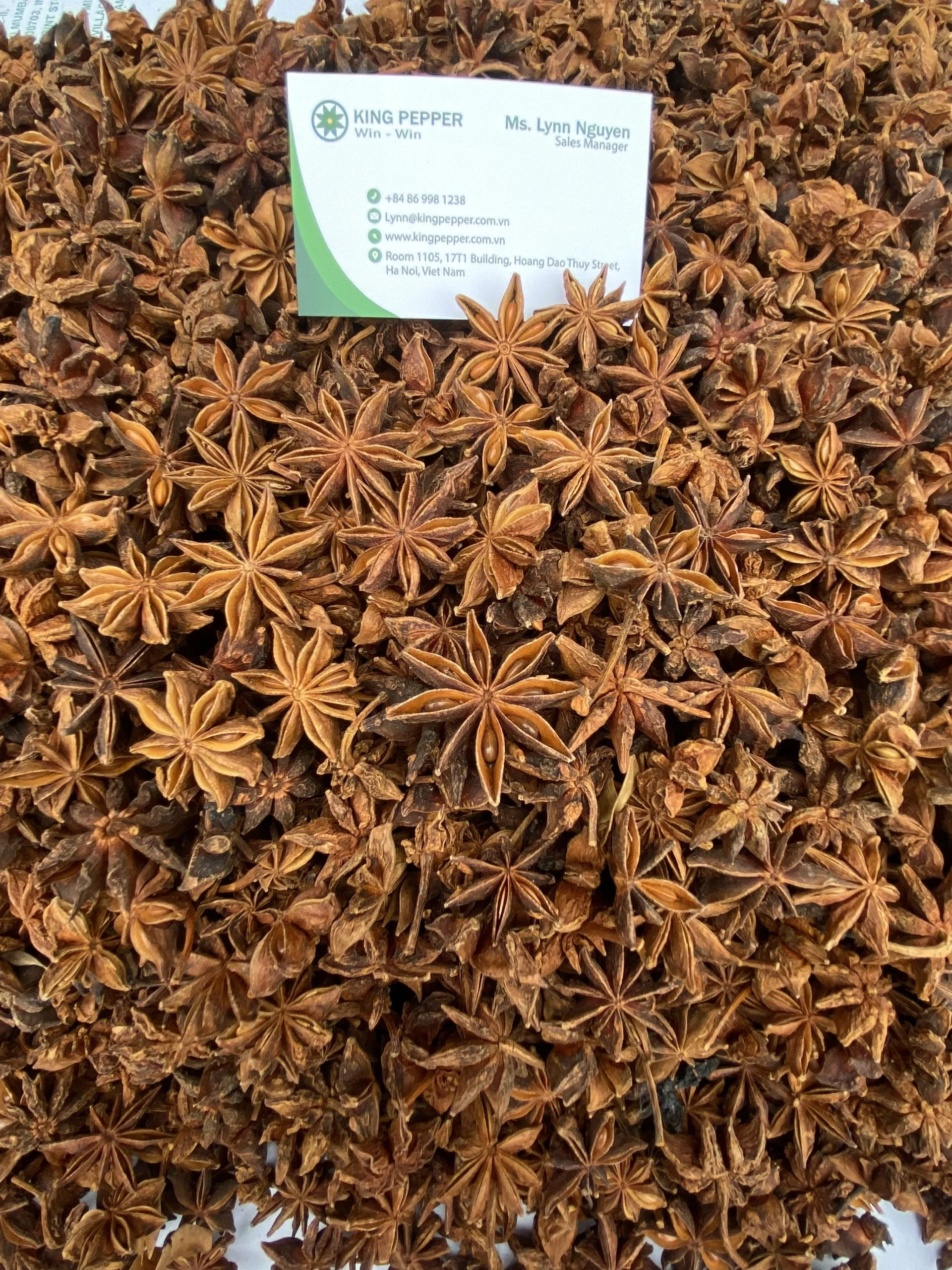 New Crop Vietnam Star Anise Autumn and Spring at Good Prices Spices And Herbs For Food Ingredients