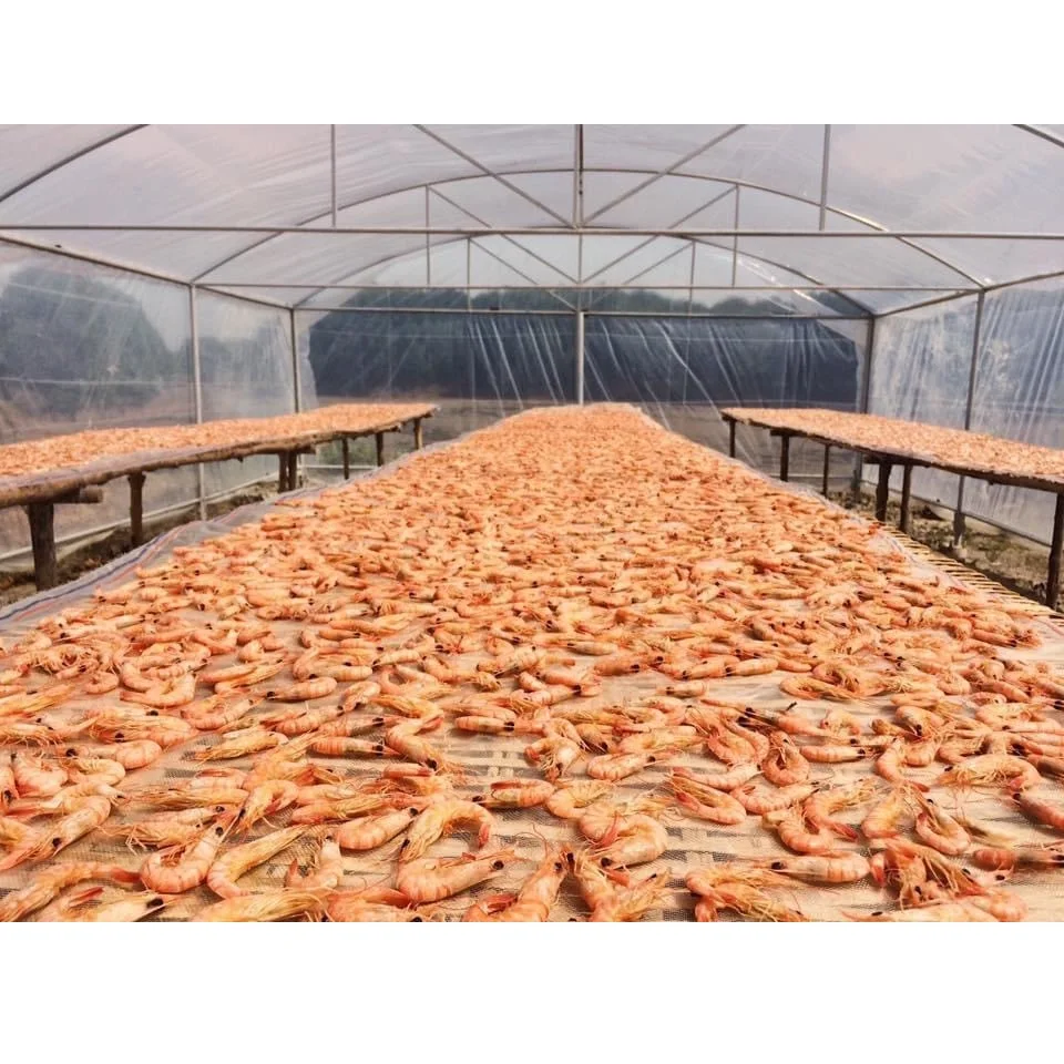 Vietnam High Quality Wholesale Cheap Price Vacuum Pack 5 months Shelf Life Seafood Food Certificated OEM Dried Shrimp