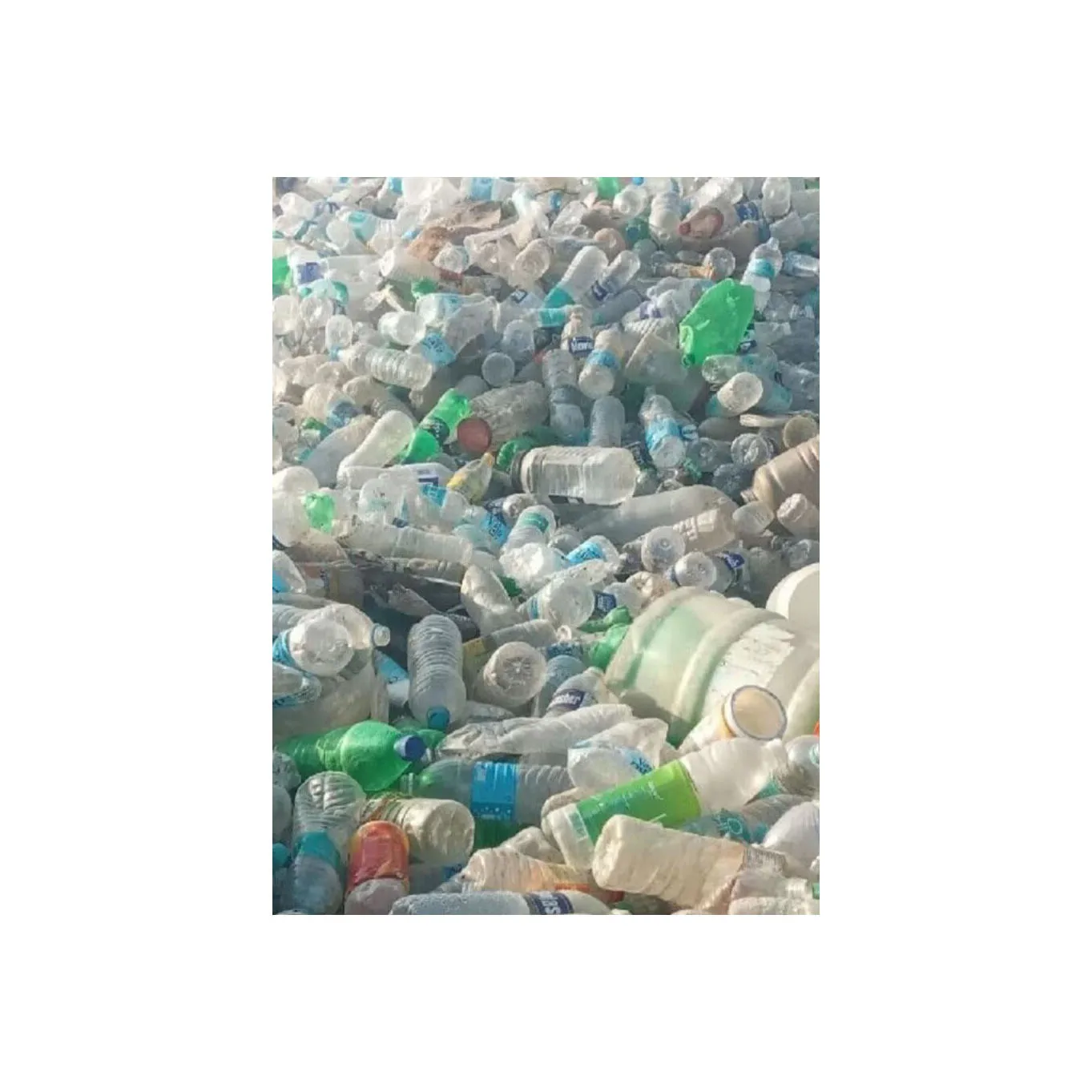 PET flakes white / recycled PET Resin