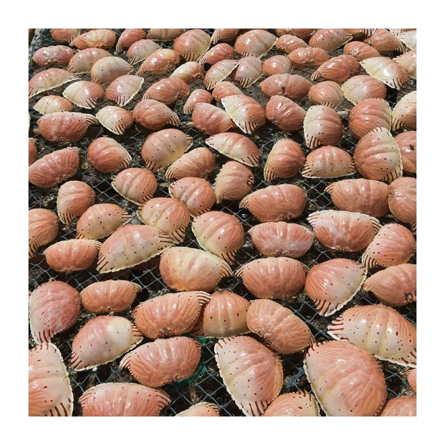 Unique Crab Shell Handicraft Tableware Stylish, Environmentally Friendly Food Bowls and Plates for Green, Sustainable Living