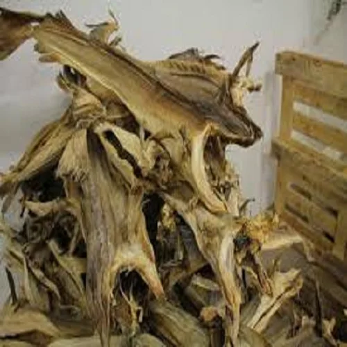 Dry Stock Fish / Dry Stock Fish Head / Dried Salted Cod
