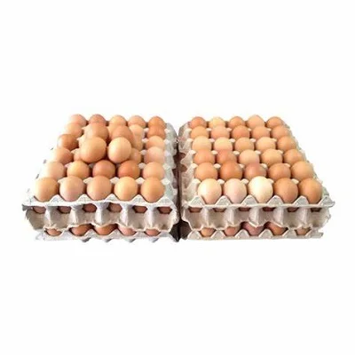 Высокое качество упаковки 100% натурального качества свежее куриное яйцо для продажи