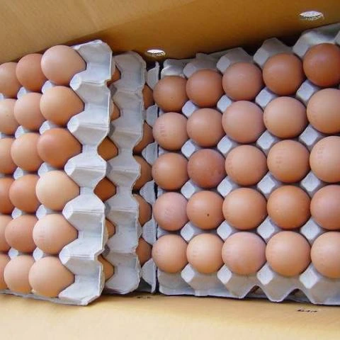 Оптовая продажа свежих куриных настольных яиц для продажи