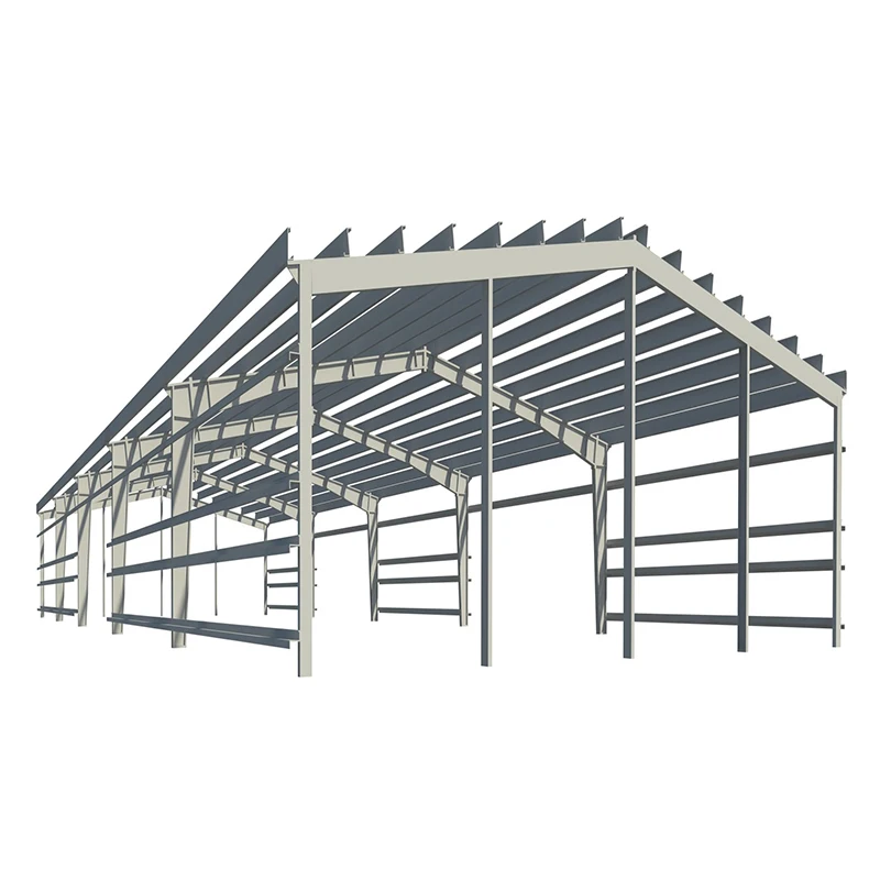 Waterproof and Fireproof Insulation Panel Prefabricated Building Construction Warehouse Plant Hangar Hall Light Steel Structure