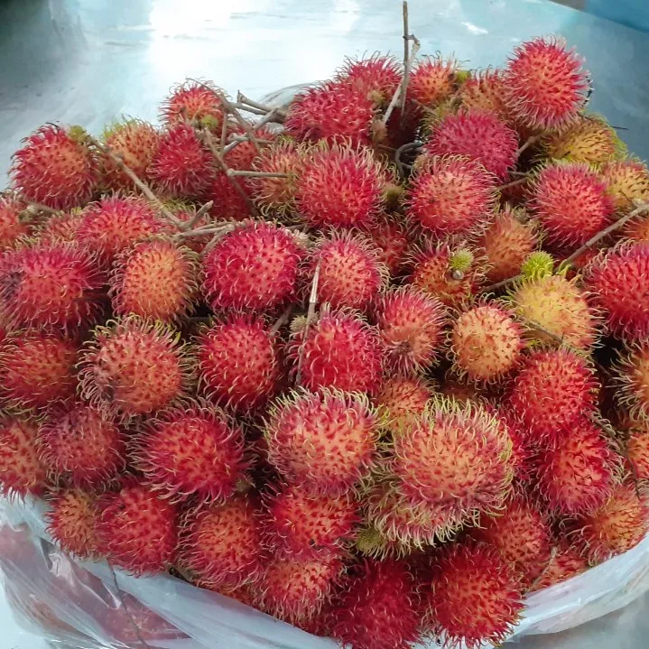 GOOD QUALITY- FROZEN RAMBUTANT- 100% SWEETED NATURAL MADE IN CAN THO