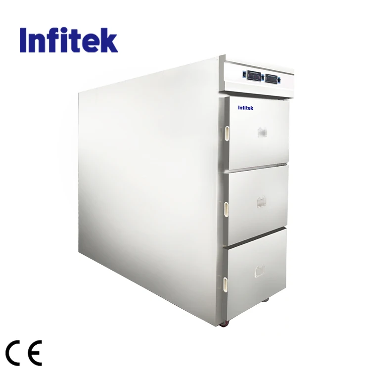 Infitek Corpse refrigerator 201/304 Stainless steel 3 corpses mortuary refrigerator Mobile Morgue Body Refrigerator
