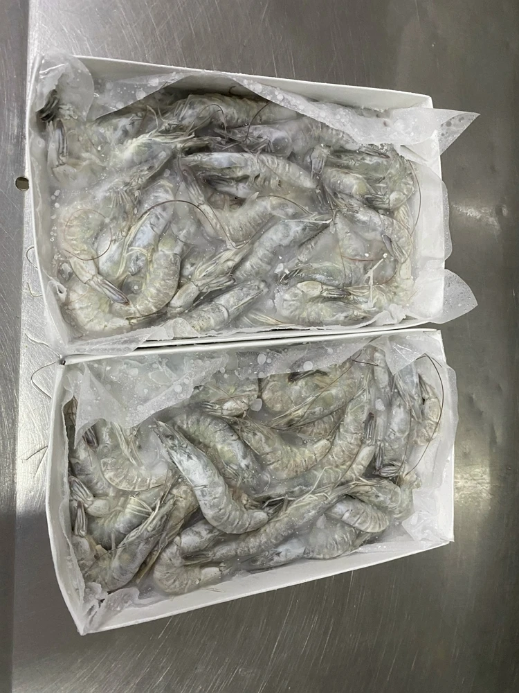 Wholesale Vannamei Shrimp HOSO High quality IQF frozen fresh top quality whole shrimp undivided with a head