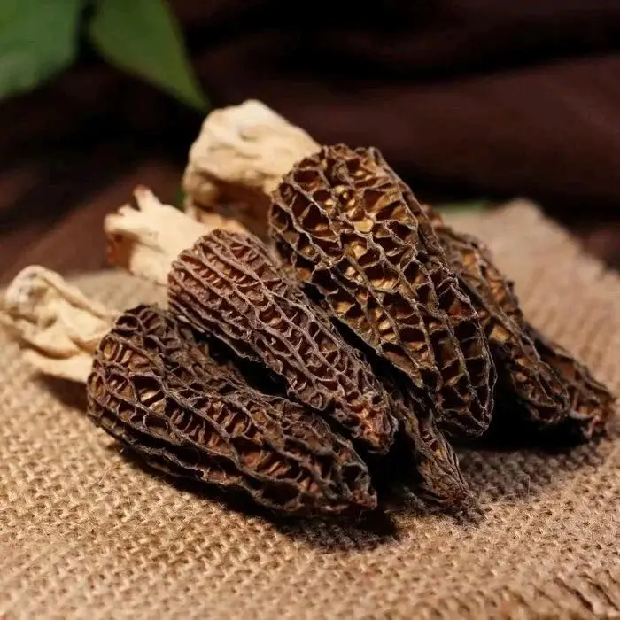 Gucchi Mushroom for export  Dried Wild Morels  Mushroom Black Morel Mushroom  competitive price