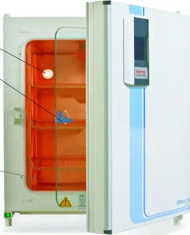 Good Quality Co2 Incubator Manufacturer IVF Co2 incubator Co2 Incubator for ivf lab application