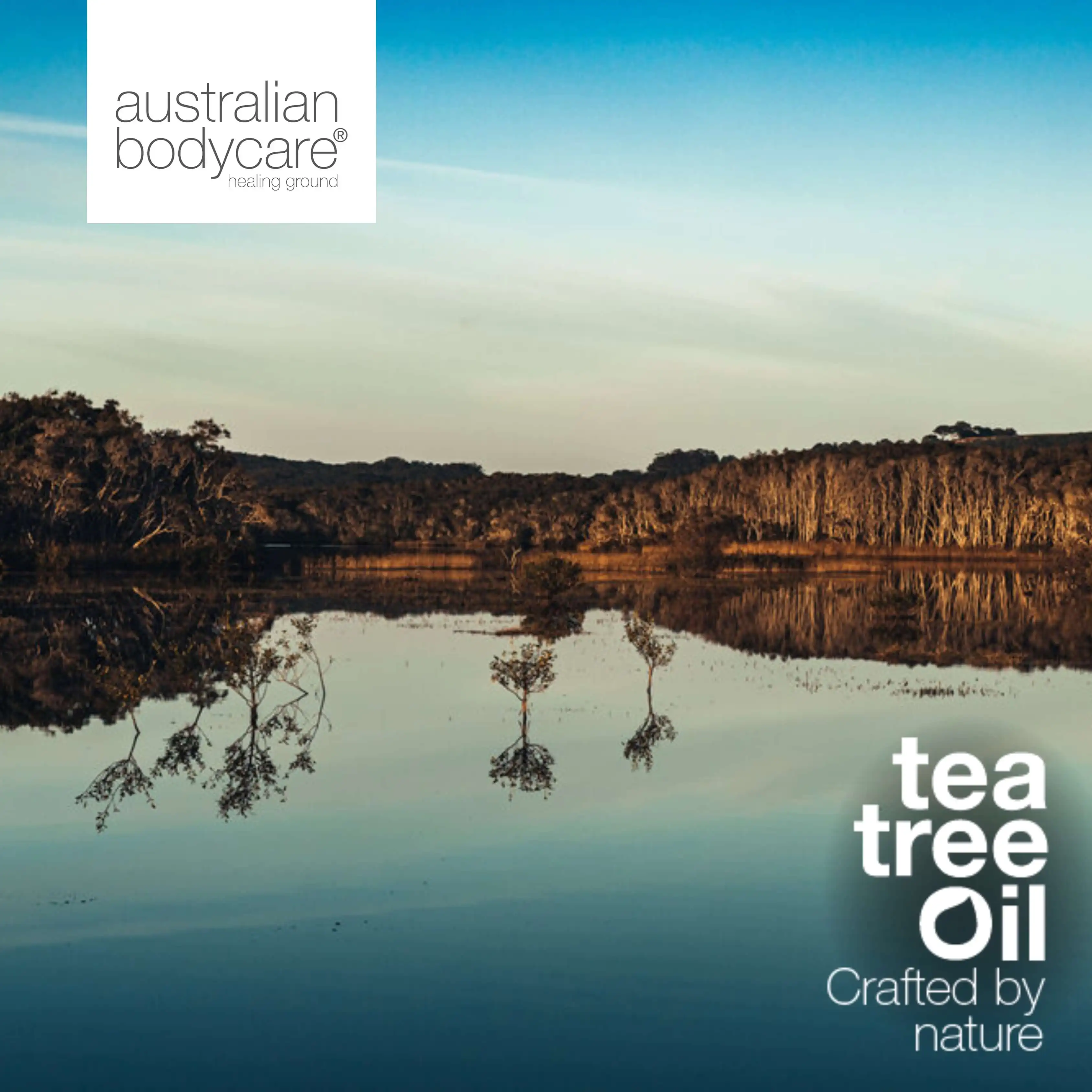 Biodegradable Wet Wipes wholesale Tea Tree & Mango: 24 pcs. Adult wet wipes for Sweat, Dirt, Makeup. Refreshing, Moisturizing