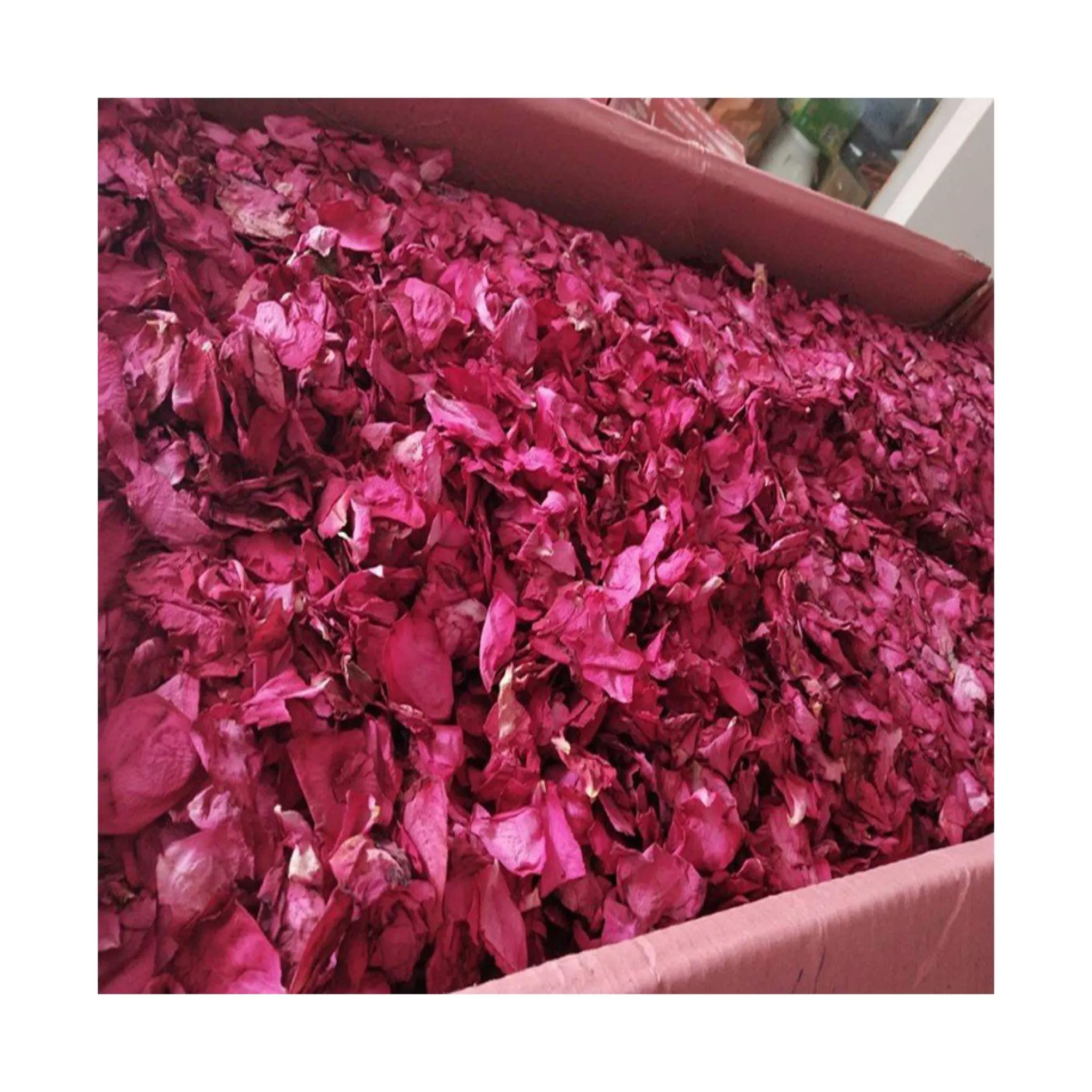High Quality Natural Dried Rose Tea Edible Rose Petals for Tea or Baking/ Dry Rose Buds For Wedding And Bathing 99 Gold Data