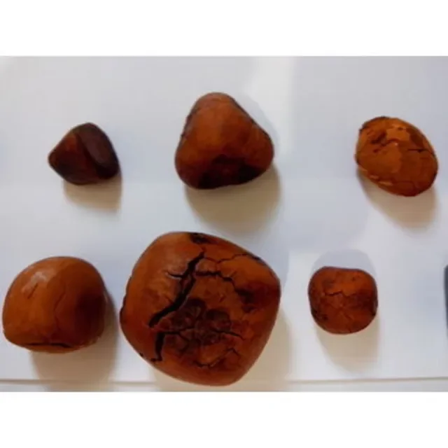 Gallstones ox cow bezoar ox gallstones