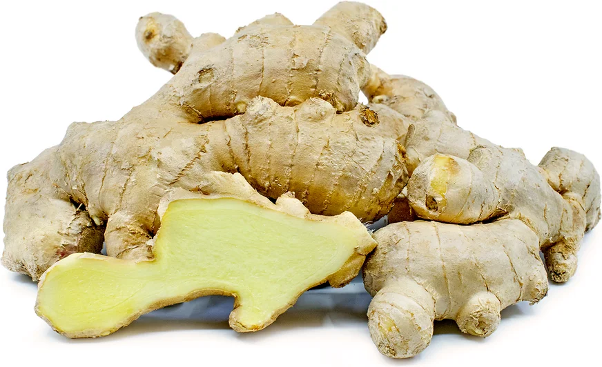 Wholesales 100% Organic Fresh Ginger The Cheapest Price Ginger Fresh Made in Vietnam Ready To Ship